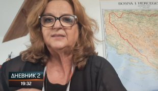 Dnevnik 2