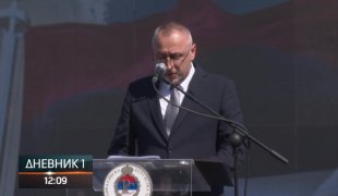 Dnevnik 1