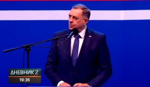 Dnevnik 2