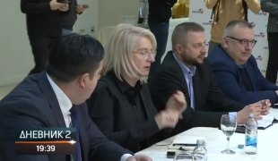 Dnevnik 2