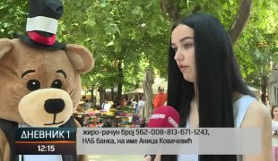 Dnevnik 1