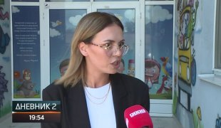 Dnevnik 2