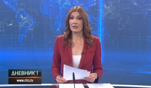 Dnevnik 1
