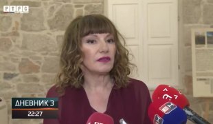 Dnevnik 3