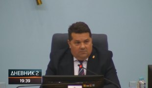 Dnevnik 2