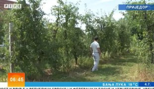 Јutarnji program