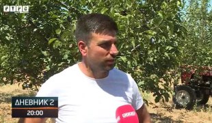 Dnevnik 2