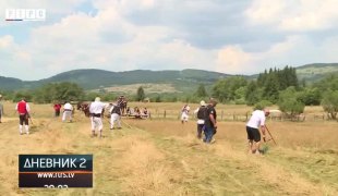 Dnevnik 2