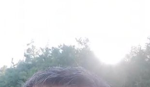 Vijesti
