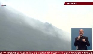 Srpska Danas