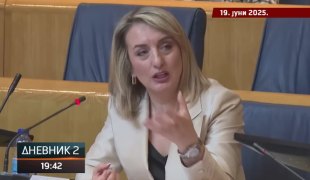 Dnevnik 2