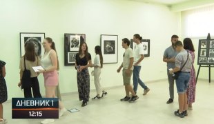 Dnevnik 1