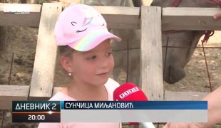 Dnevnik 2