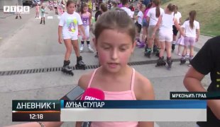 Dnevnik 1