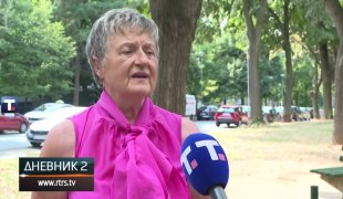Dnevnik 2