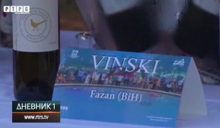Dnevnik 1