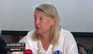 Dnevnik 2