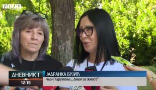 Dnevnik 1
