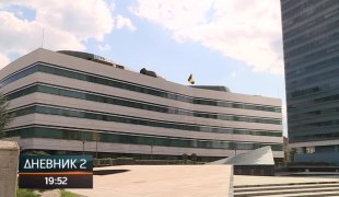 Dnevnik 2