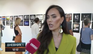 Dnevnik 1