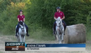 Dnevnik 2