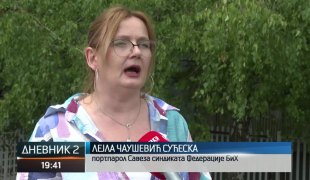 Dnevnik 2