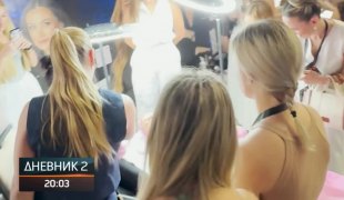 Dnevnik 2