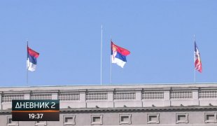 Dnevnik 2