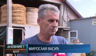 Dnevnik 1