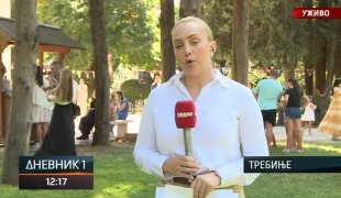 Dnevnik 1
