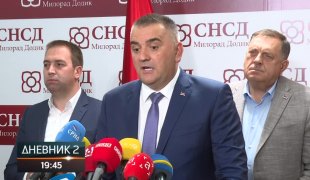 Dnevnik 2