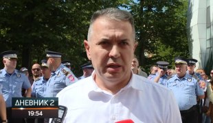 Dnevnik 2
