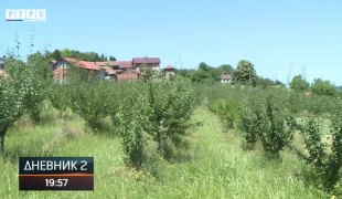 Dnevnik 2