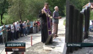 Dnevnik 1