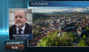 Dnevnik 2