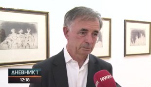 Dnevnik 1