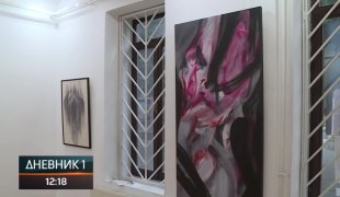 Dnevnik 1