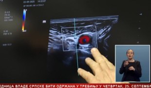 Srpska Danas