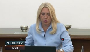 Dnevnik 2