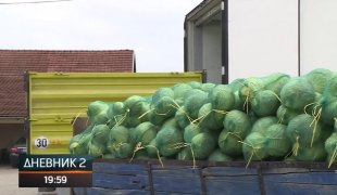 Dnevnik 2