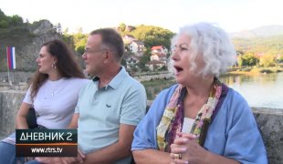 Dnevnik 2