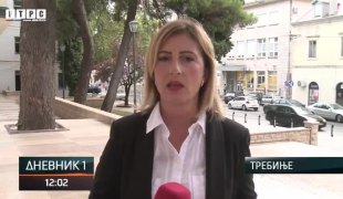 Dnevnik 1
