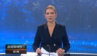 Dnevnik 1