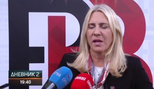 Dnevnik 2