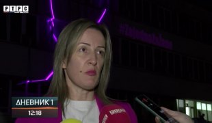Dnevnik 1