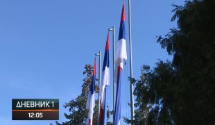 Dnevnik 1