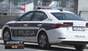 Dnevnik 2