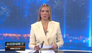 Dnevnik 2