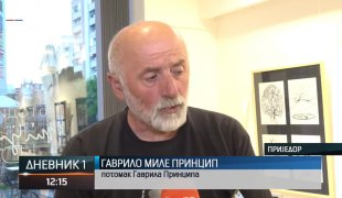 Dnevnik 1