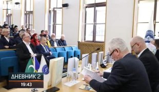 Dnevnik 2